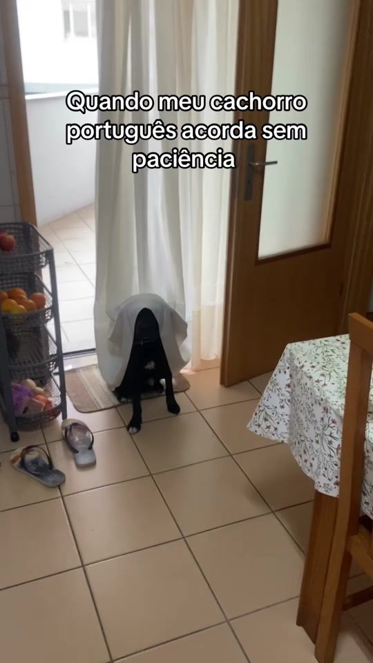 TikTok video thumbnail by a2pelomundao