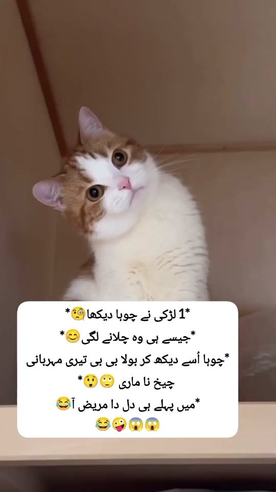 TikTok video thumbnail by gem__94