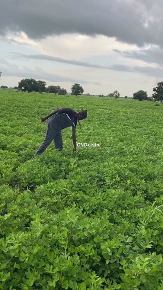 TikTok video thumbnail by papemotsarrbayoub