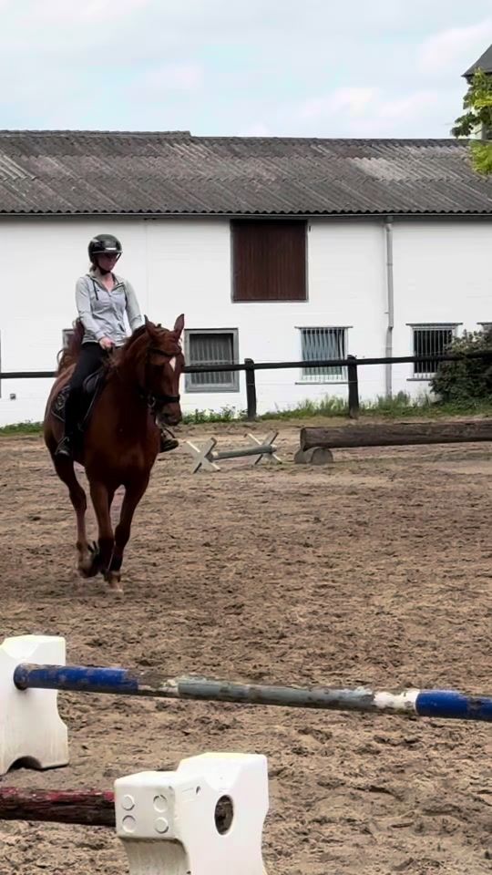 TikTok video thumbnail by equestrian.sophe