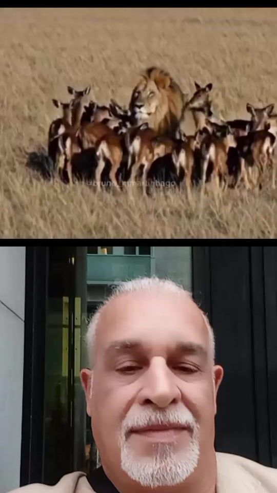 TikTok video thumbnail by dharioconlaccazitta