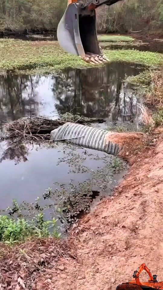 TikTok video thumbnail by excavator.19