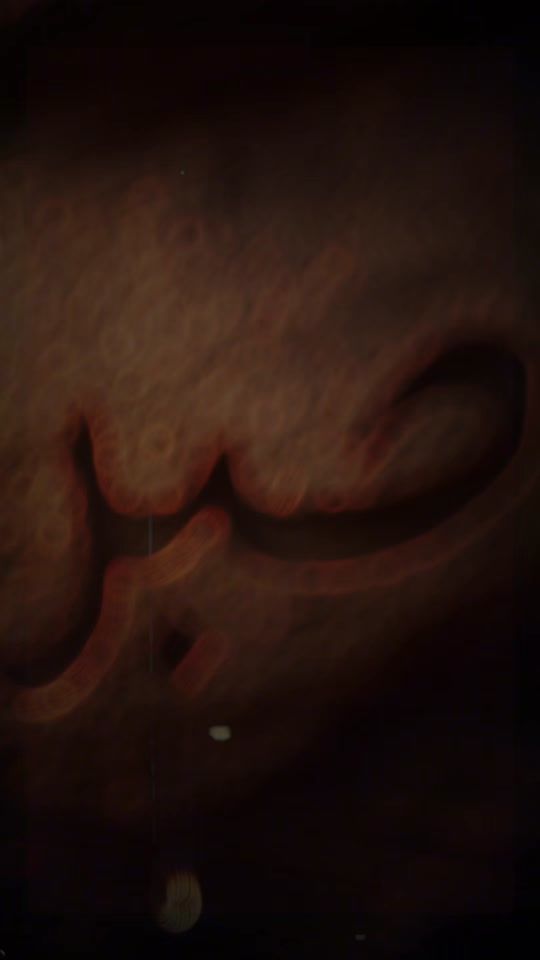 TikTok video thumbnail by zahid2110