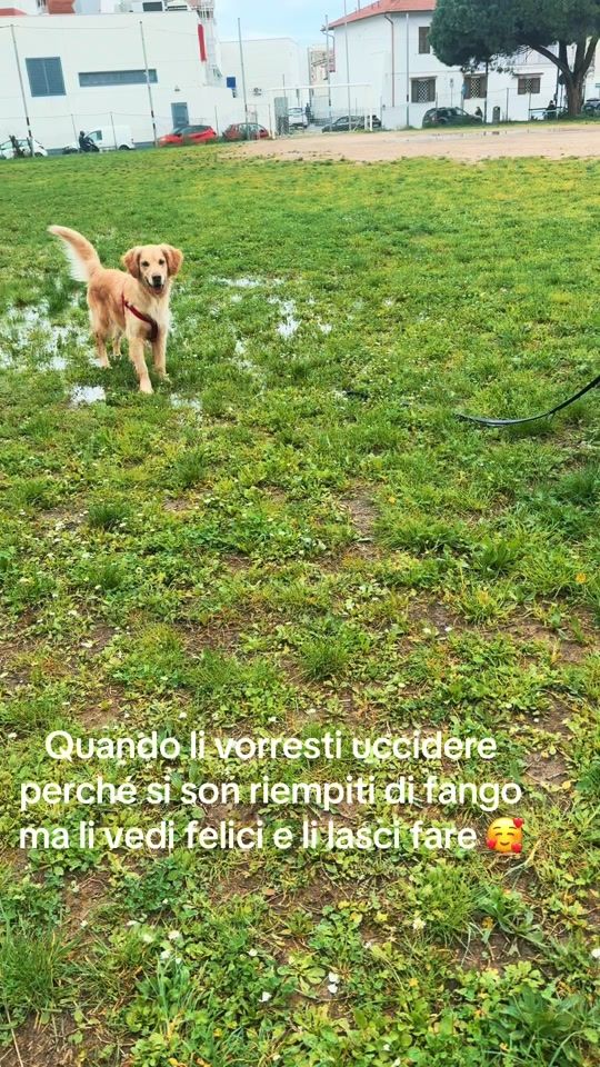 TikTok video thumbnail by alessandrapapini37