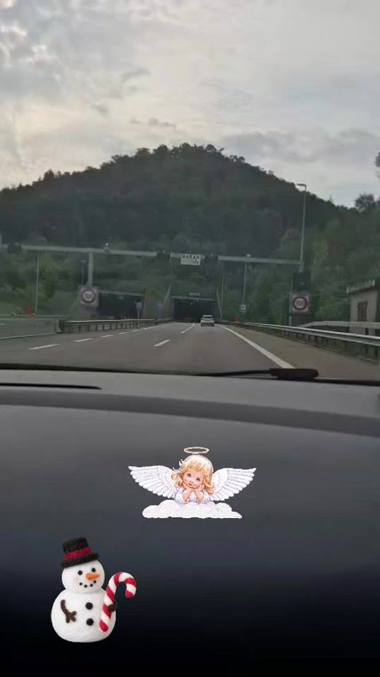 TikTok video thumbnail by narcis.cara.original