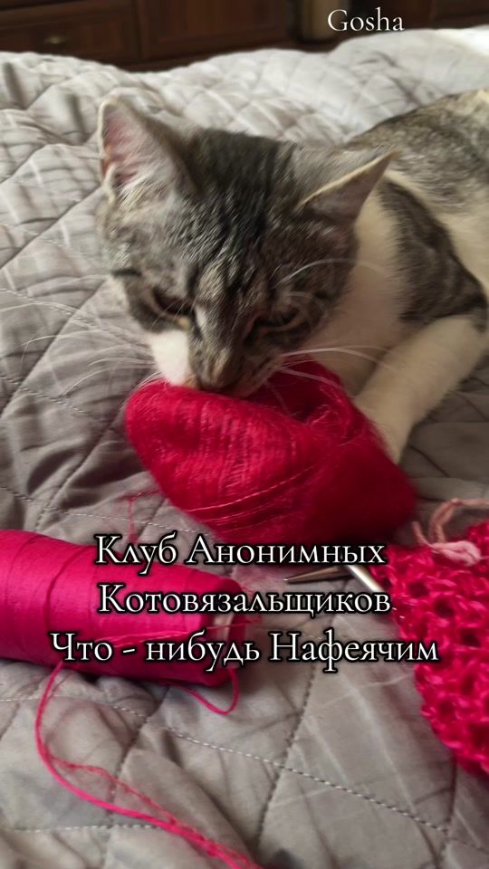 TikTok video thumbnail by jelenanels5