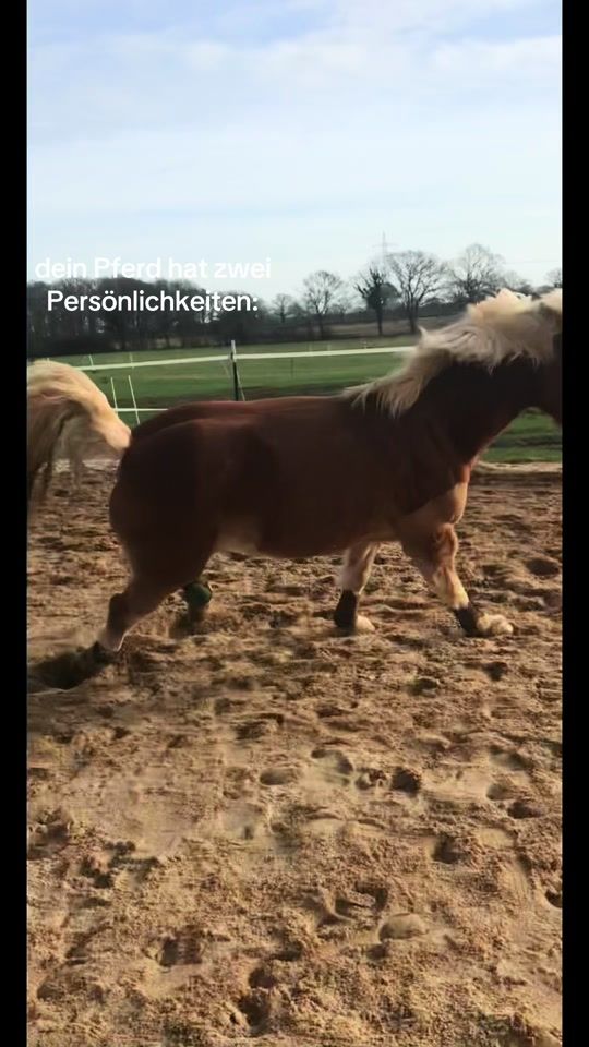 TikTok video thumbnail by svenja.rch
