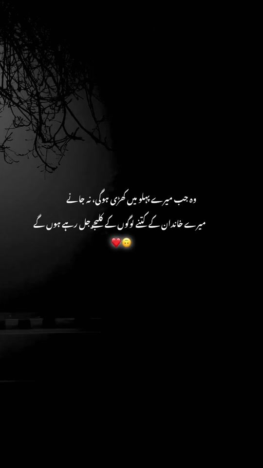 TikTok video thumbnail by abdul.ashfaq2