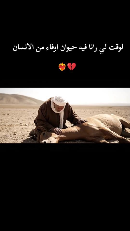TikTok video thumbnail by anour9019