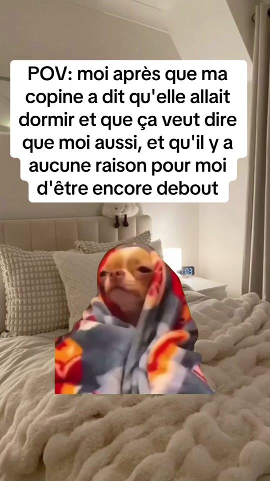 TikTok video thumbnail by petmeme3