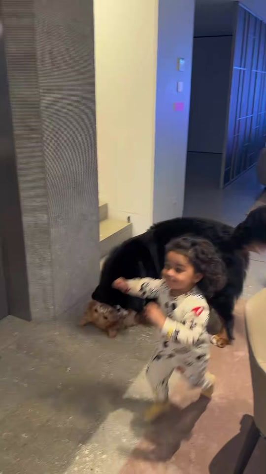 TikTok video thumbnail by momosanteyalla0