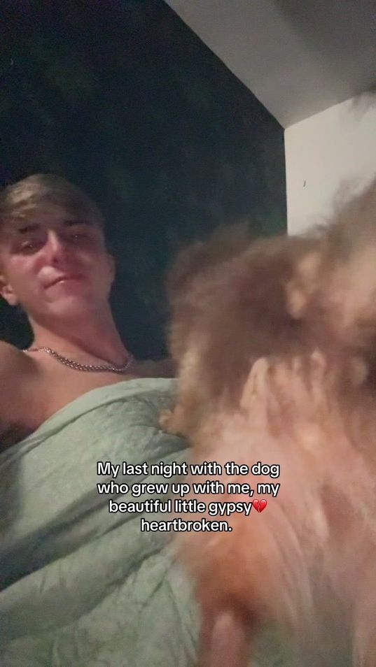 TikTok video thumbnail by lleongerald