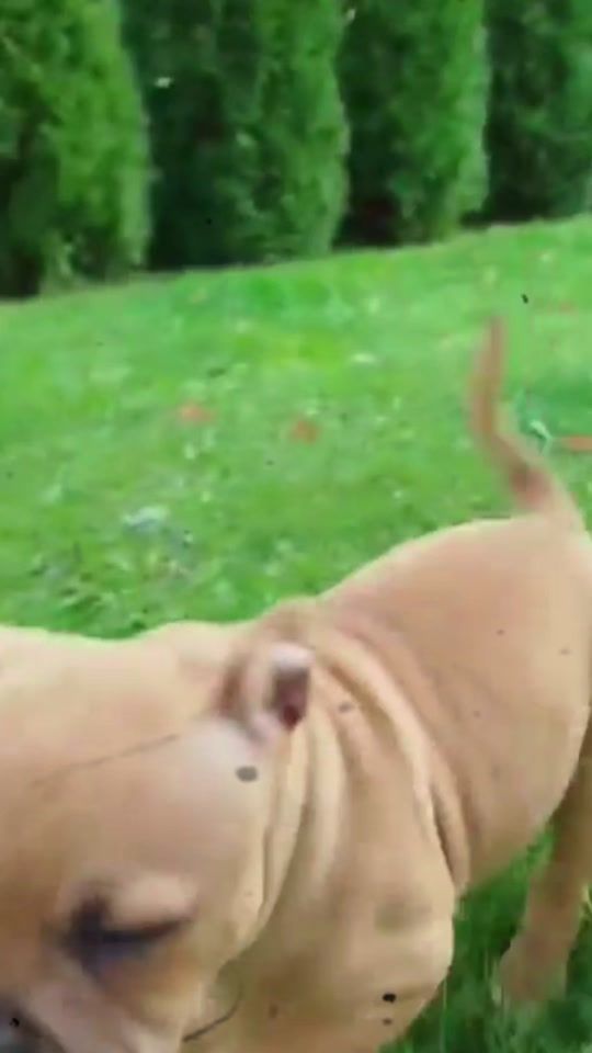 TikTok video thumbnail by rysiek_staffik