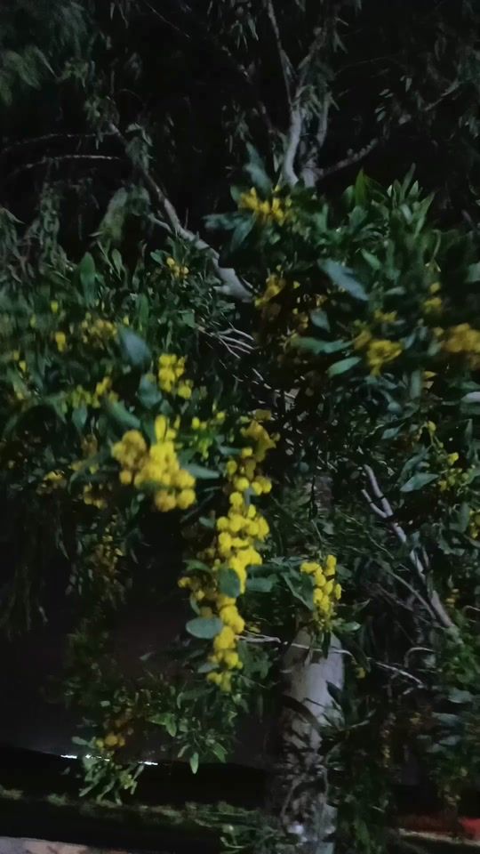TikTok video thumbnail by 3_m_m_a_r_6