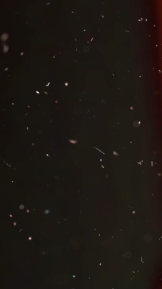 TikTok video thumbnail by saocosalsoteca