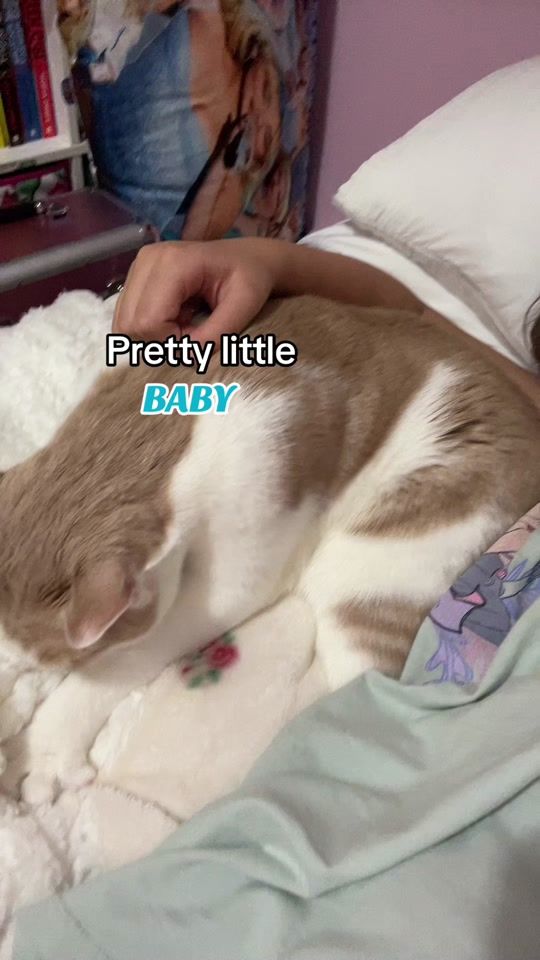 TikTok video thumbnail by shayla.1414