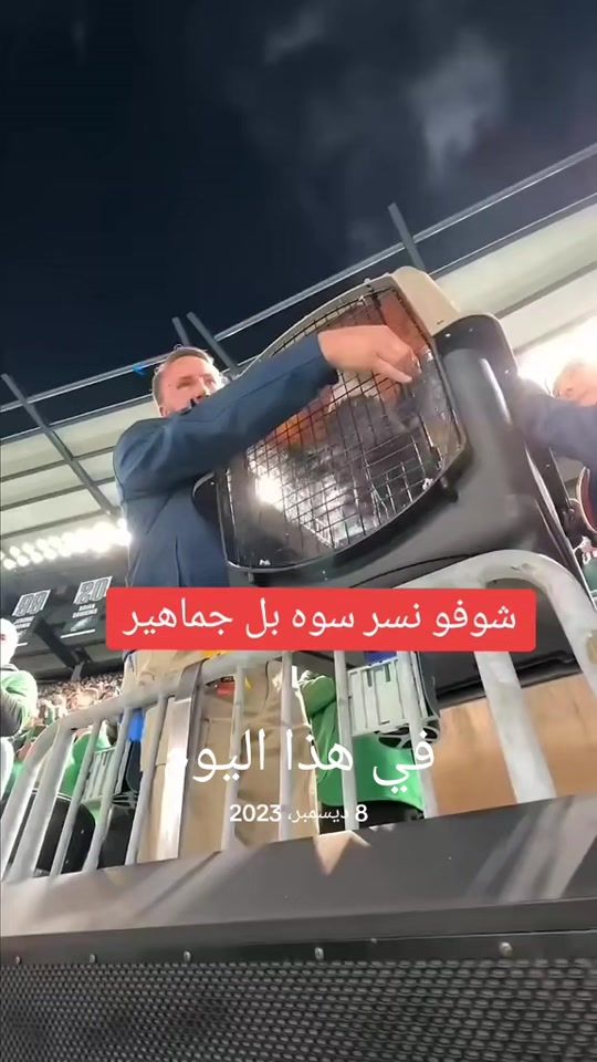 TikTok video thumbnail by a___stj