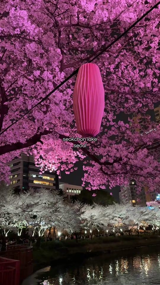 TikTok video thumbnail by caliapistone