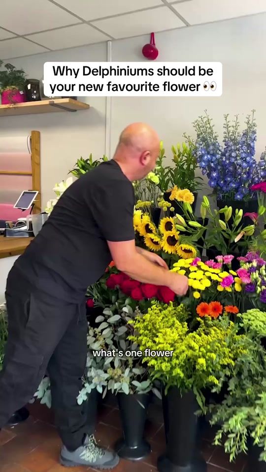 TikTok video thumbnail by interflorauk