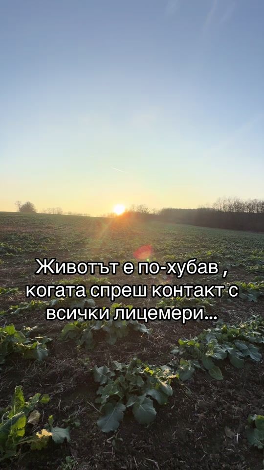 TikTok video thumbnail by citatlux