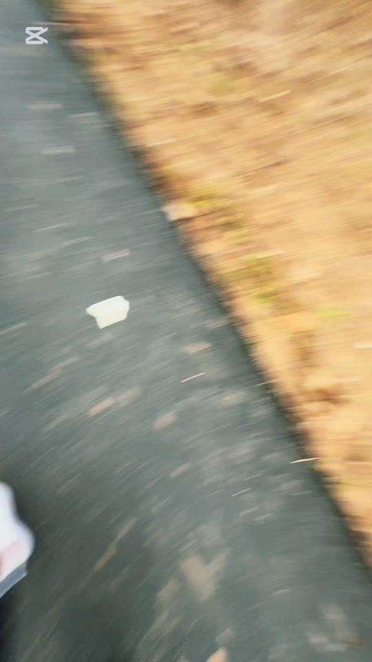 TikTok video thumbnail by carcanoelisa