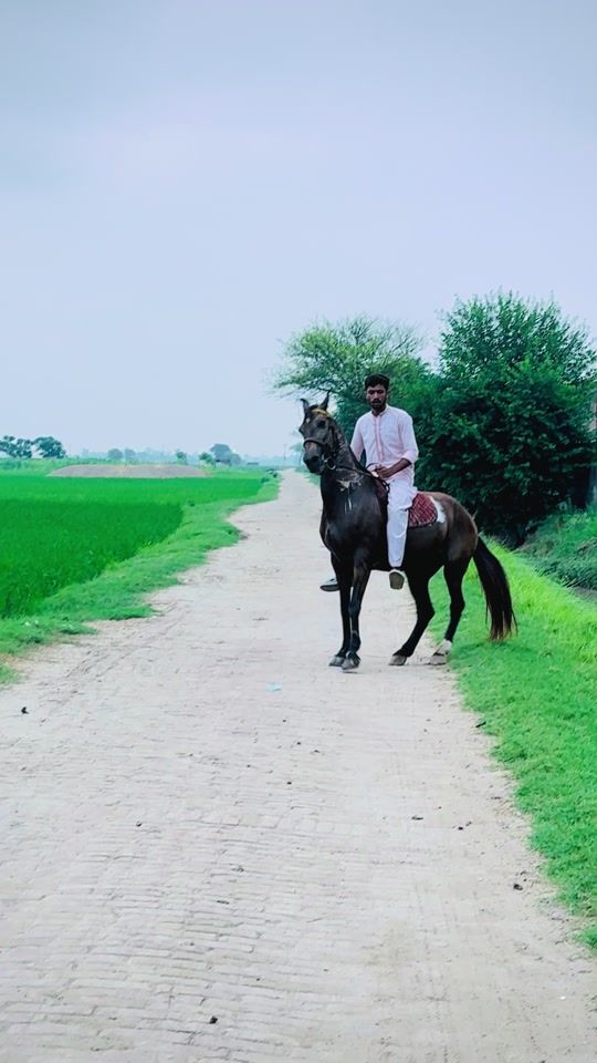 TikTok video thumbnail by ray.attaulhai