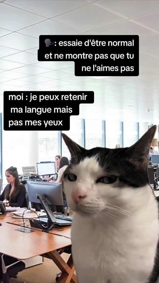 TikTok video thumbnail by fgforlife1
