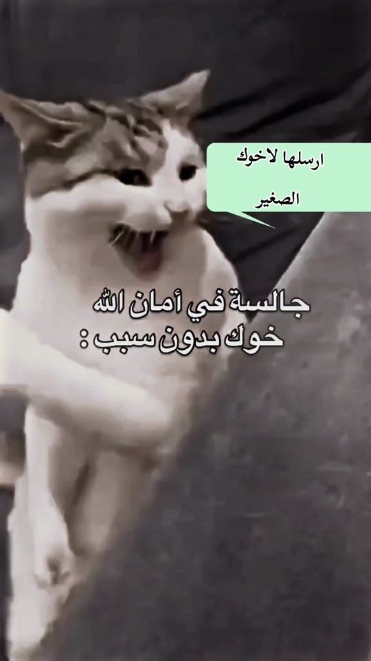 TikTok video thumbnail by samir_madrid01