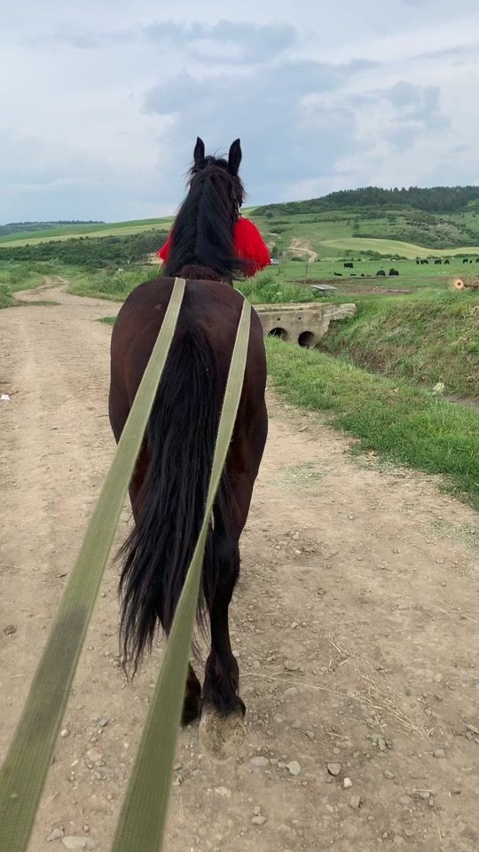 TikTok video thumbnail by ciprian991