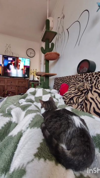 TikTok video thumbnail by anjagerlach191