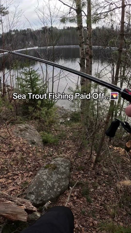 TikTok video thumbnail by fishtalestok