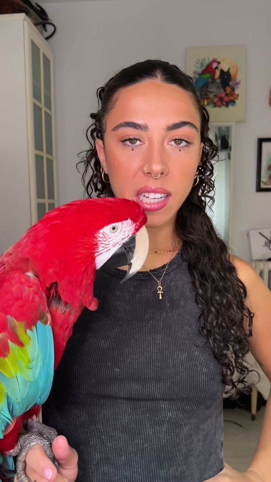 TikTok video thumbnail by _lunaaguado