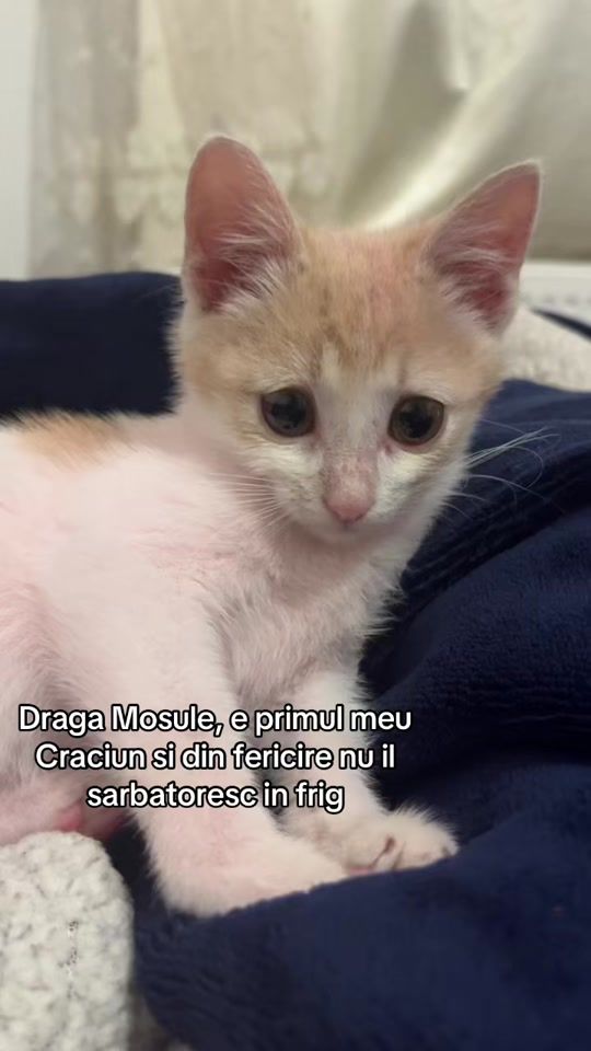 TikTok video thumbnail by dianaaaa_.02