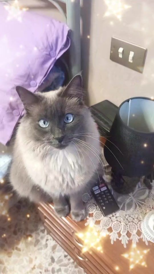 TikTok video thumbnail by francescorosalbac