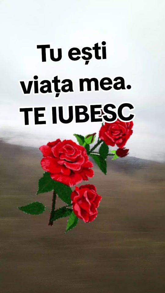 TikTok video thumbnail by vip.cluj1973