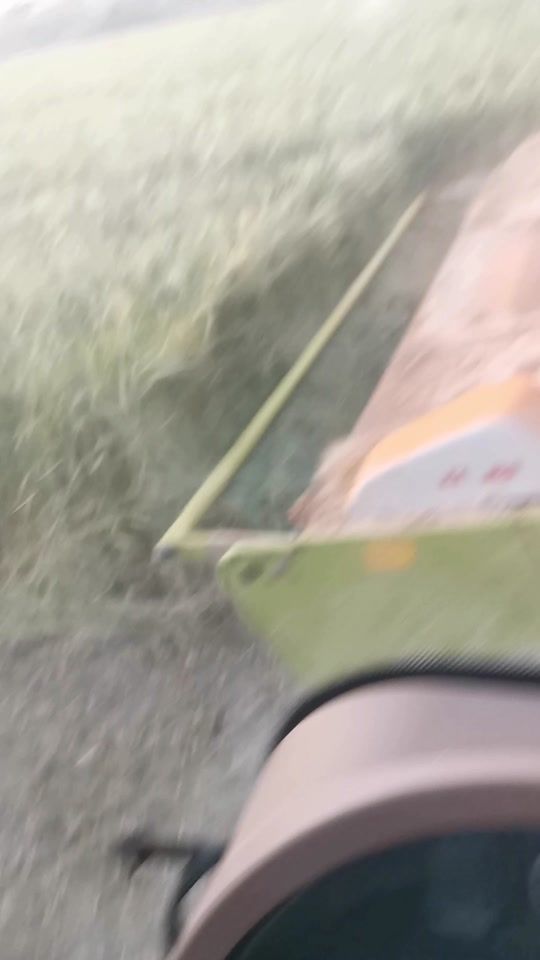TikTok video thumbnail by theking8452