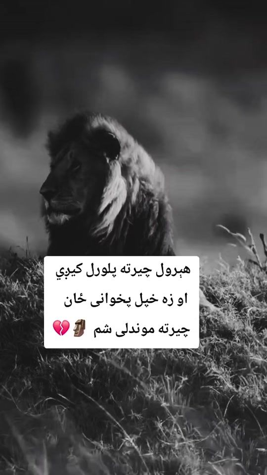 TikTok video thumbnail by m..s988..maarin