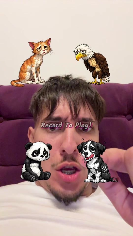 TikTok video thumbnail by gabrielflorescu.secundar