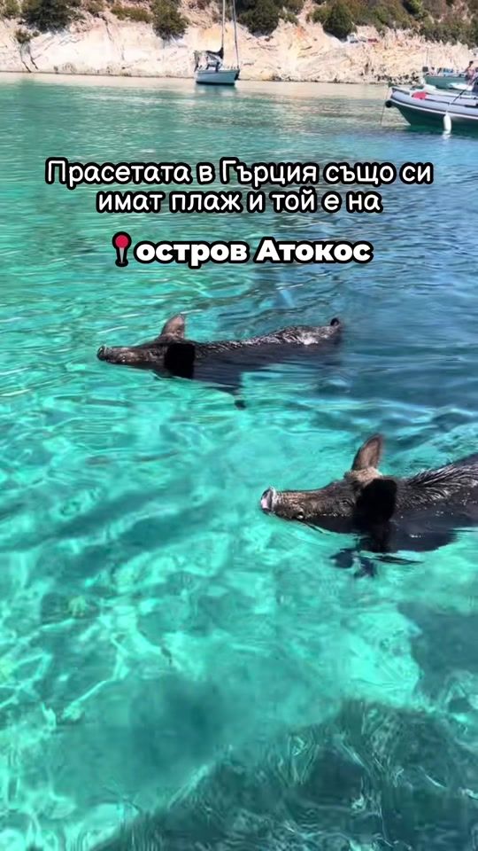 TikTok video thumbnail by fixstay.com