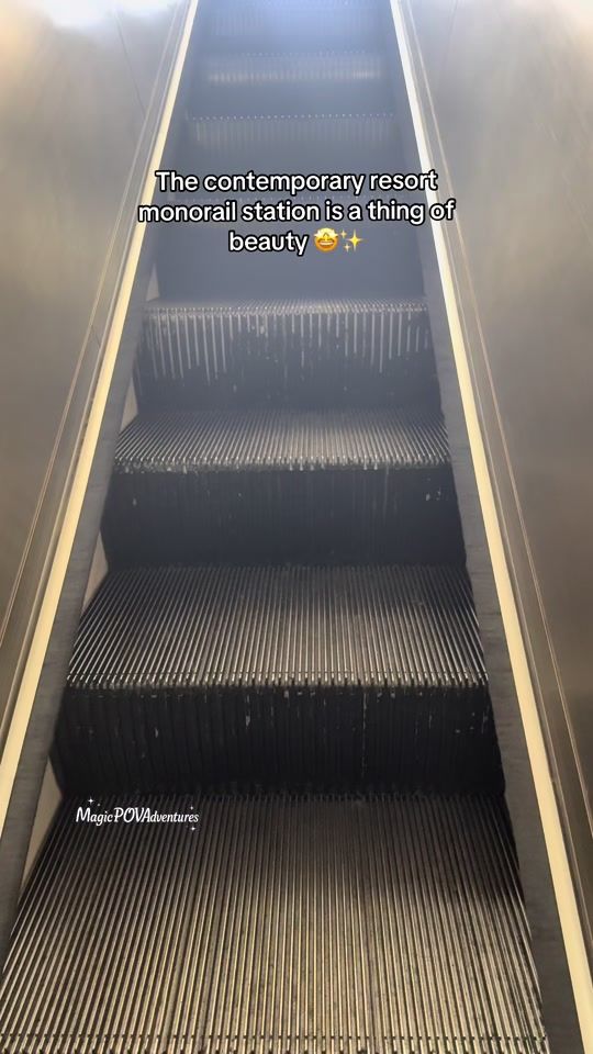 TikTok video thumbnail by magicpovadventures