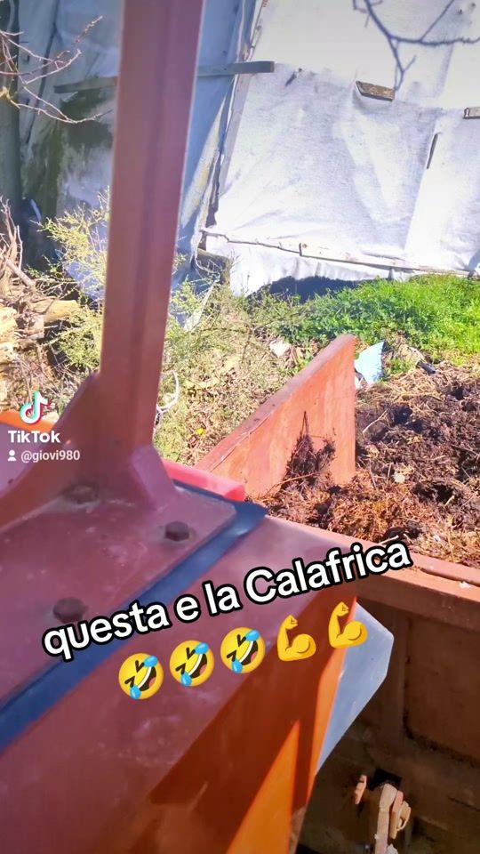 TikTok video thumbnail by giovi980