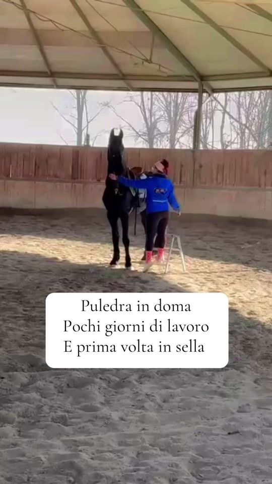 TikTok video thumbnail by elisaenonsolo