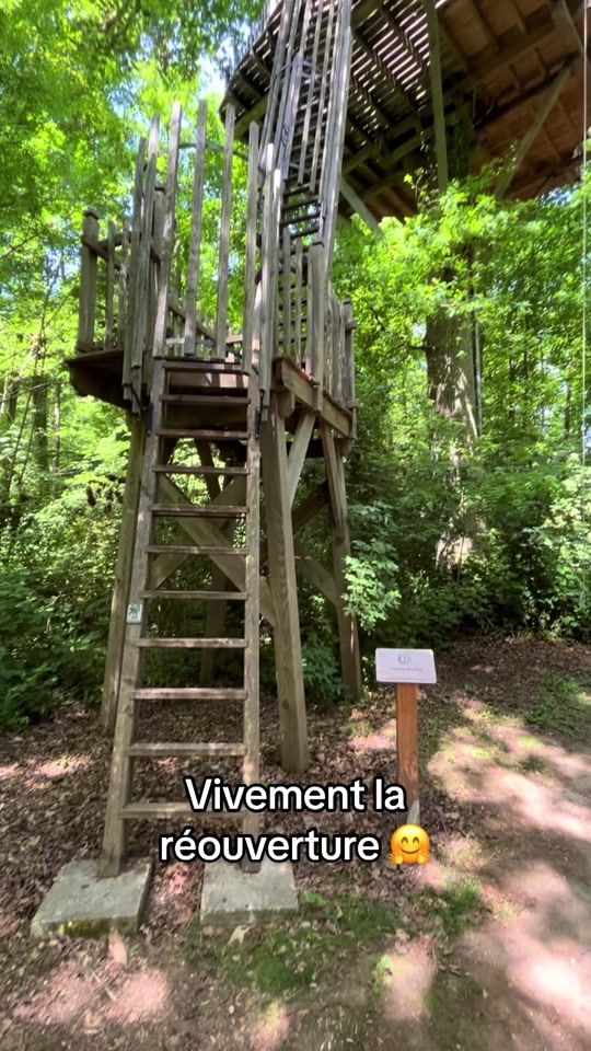 TikTok video thumbnail by coucoocabanes
