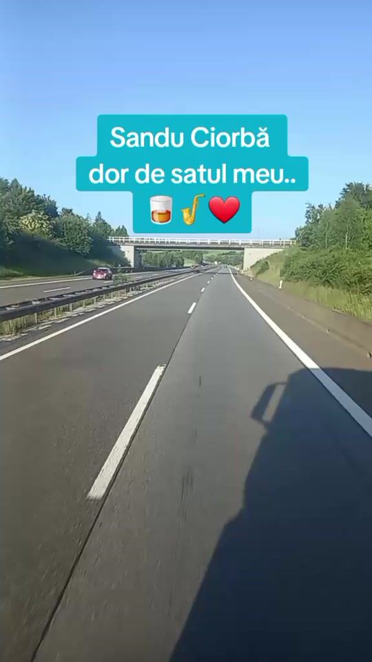 TikTok video thumbnail by baiatulcucapra