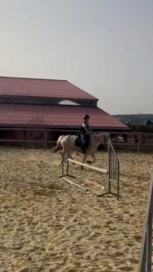 TikTok video thumbnail by melinepsapsa.1441