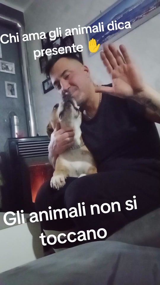 TikTok video thumbnail by mariofusaro0