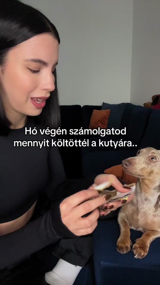 TikTok video thumbnail by jelly_thedaschund