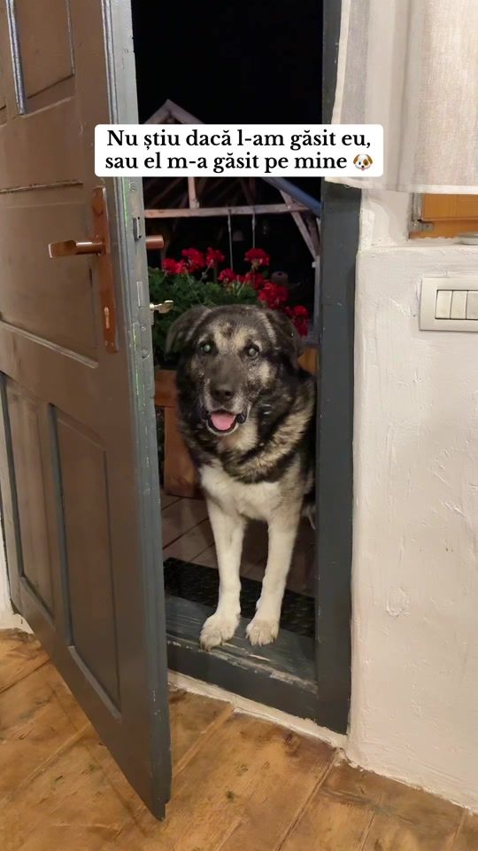 TikTok video thumbnail by siltrips