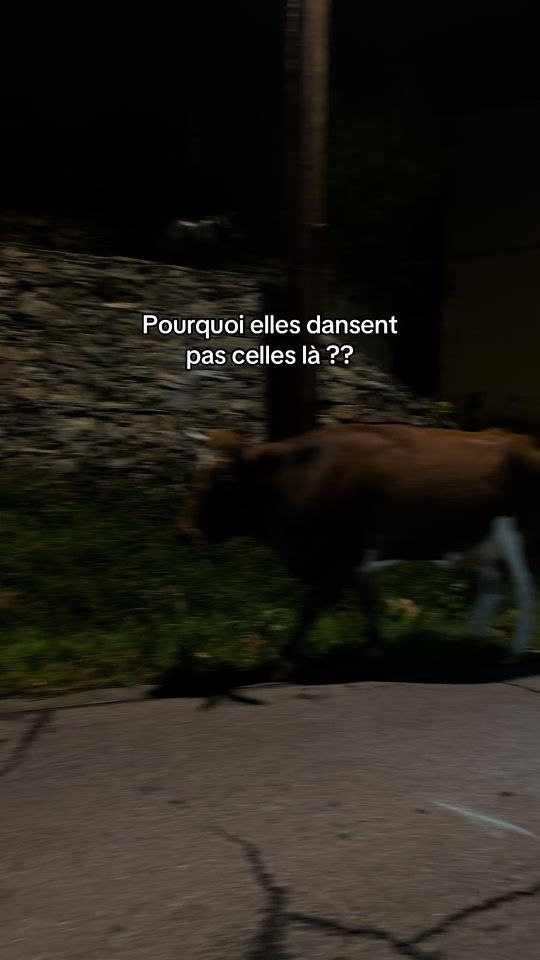 TikTok video thumbnail by camille_morelli