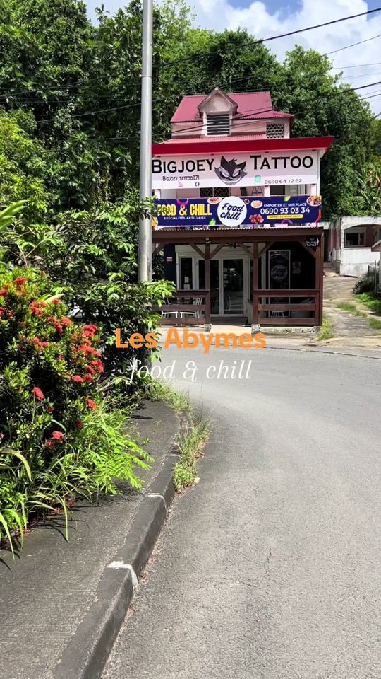 TikTok video thumbnail by vie.insulaire